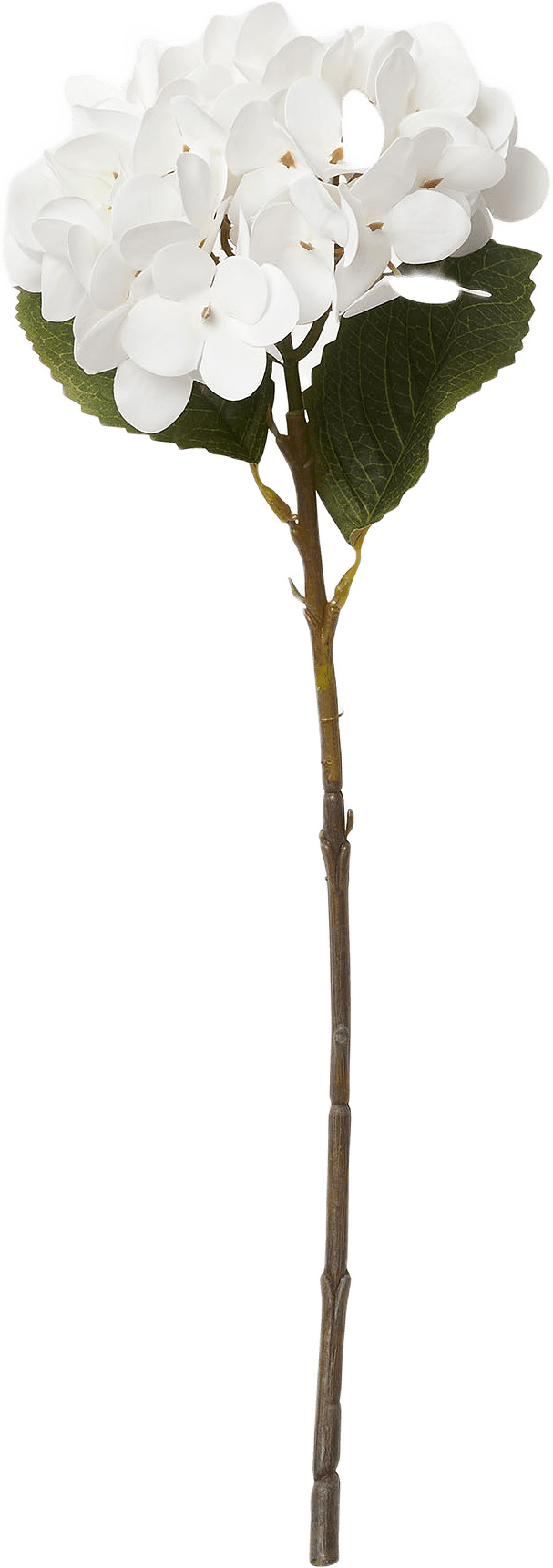 Konstväxt hortensia, från Åhléns Home, i färgen White.