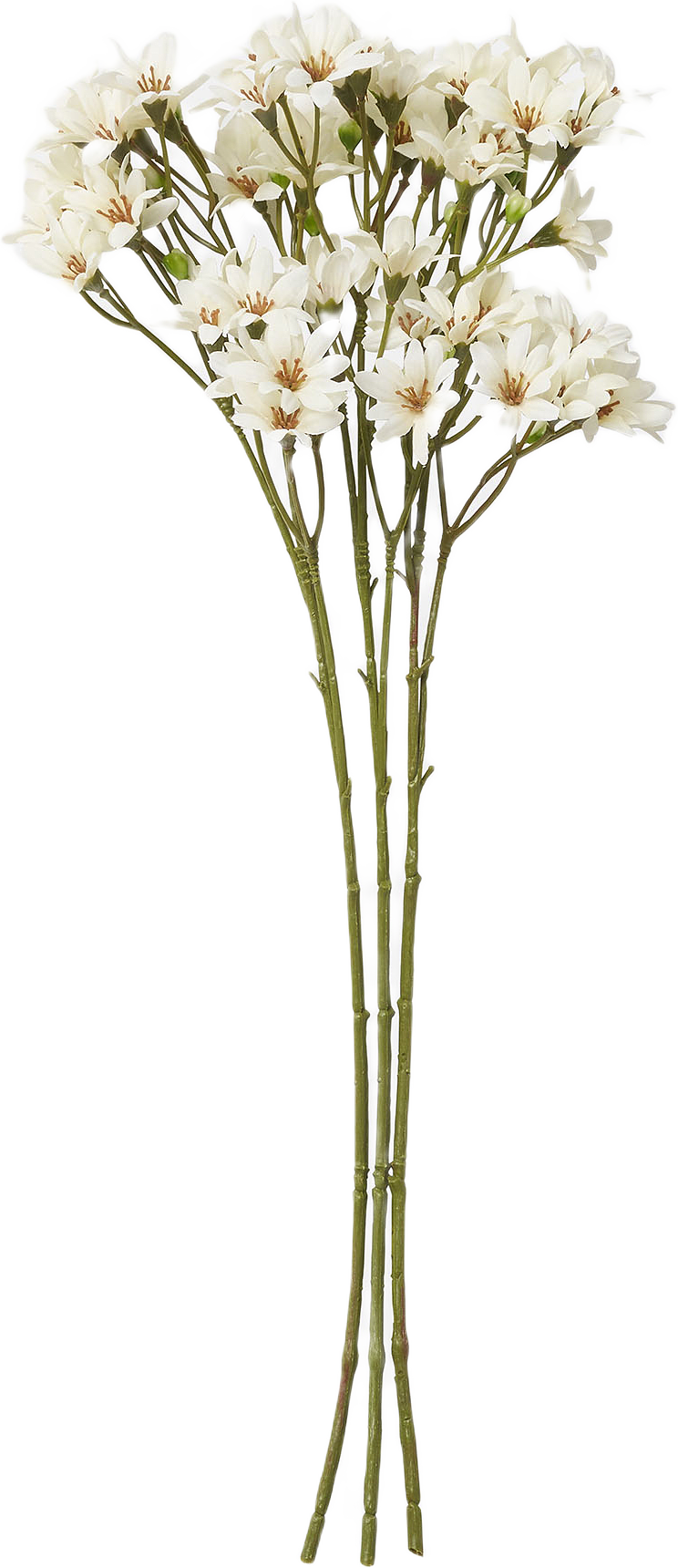 Konstväxt krysantemum, 3-pack, från Åhléns Home, i färgen White.