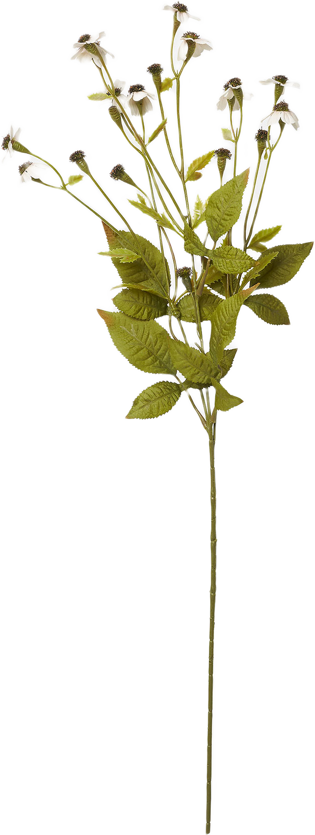 Konstväxt ringblomma, från Åhléns Home, i färgen White.