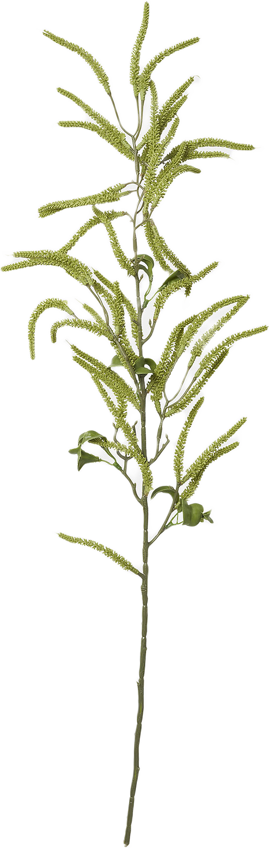 Konstväxt blåregn, från Åhléns Home, i färgen Green.