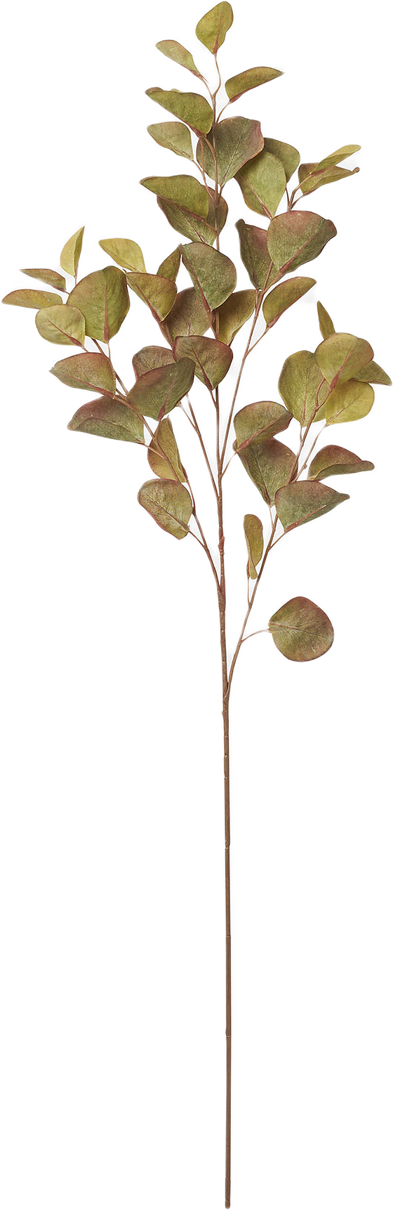 Konstväxt eukalyptus 97 cm