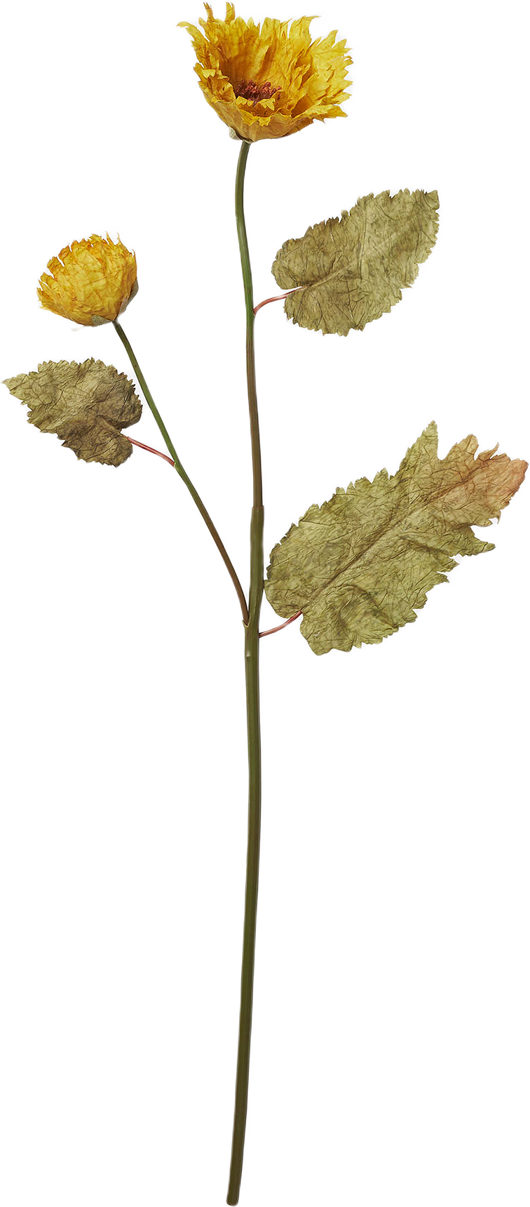 Konstväxt vallmo, från Åhléns Home, i färgen Yellow.