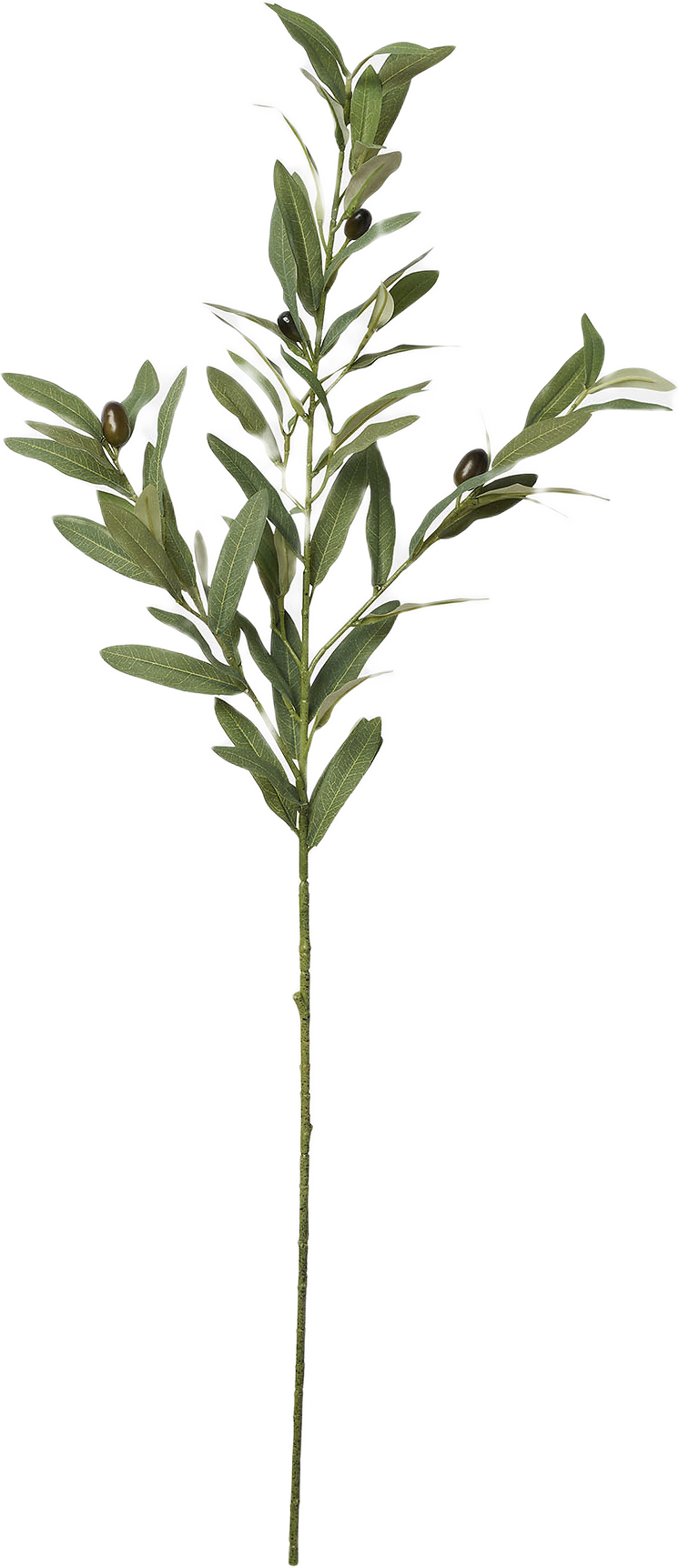 Konstväxt olivkvist, från Åhléns Home, i färgen Green.
