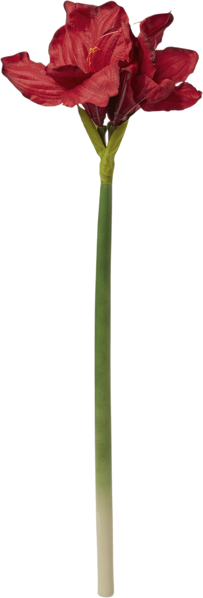 Konstväxt amaryllis, från Åhléns Home, i färgen Red.