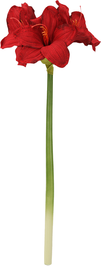 Konstväxt amaryllis, från Åhléns Home, i färgen Red.