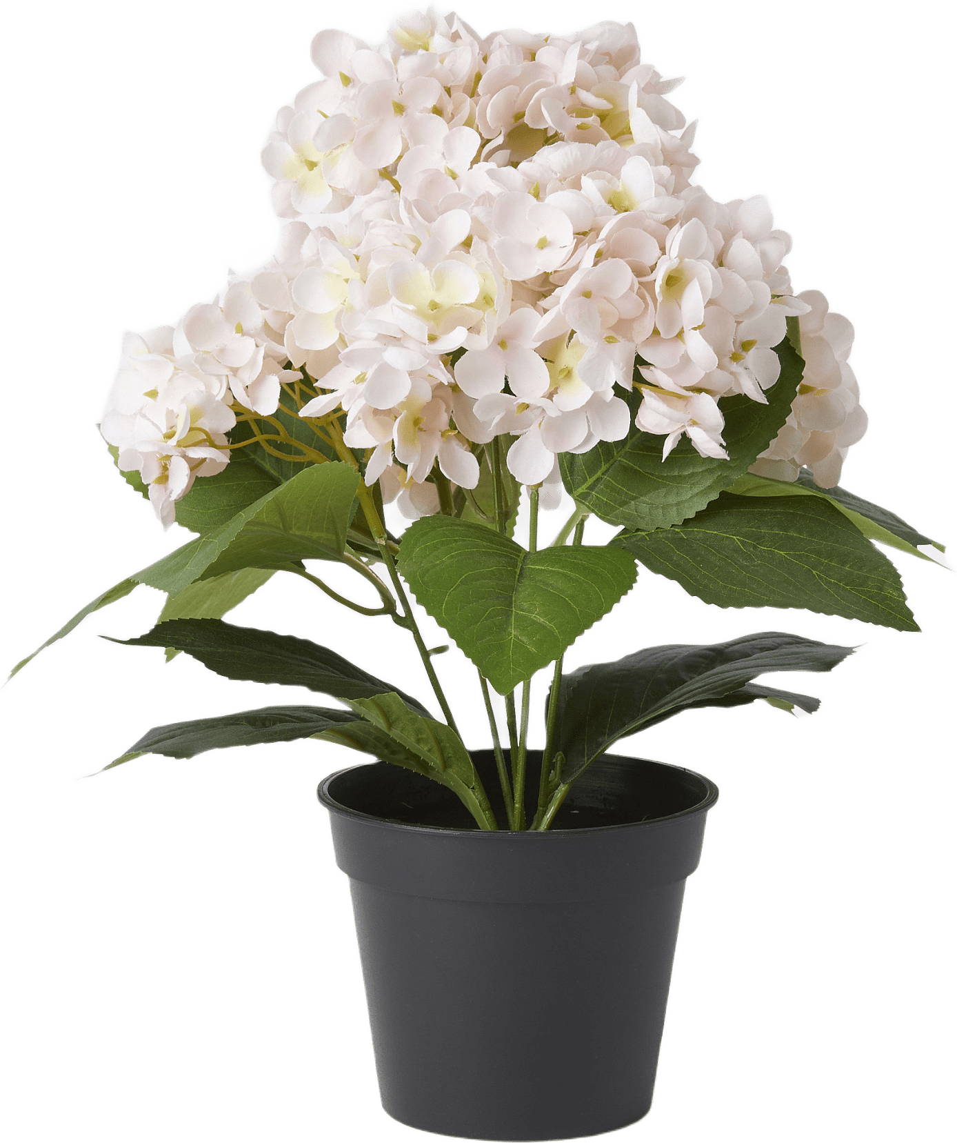 Konstväxt hortensia i kruka, från Åhléns Home, i färgen Pink.