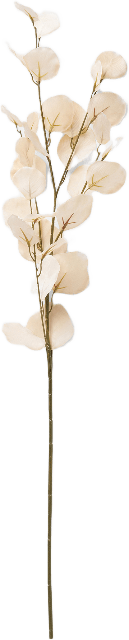 Konstväxt fransk eukalyptus, från Åhléns Home, i färgen Lt Pink.