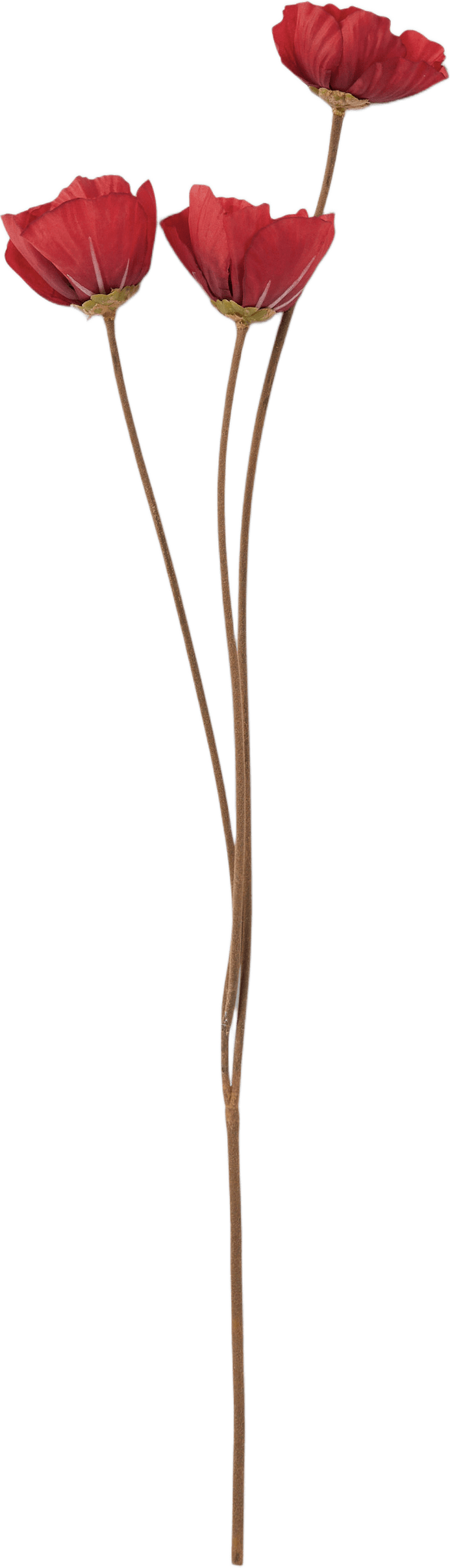 Konstväxt vallmo, från Åhléns Home, i färgen Red.