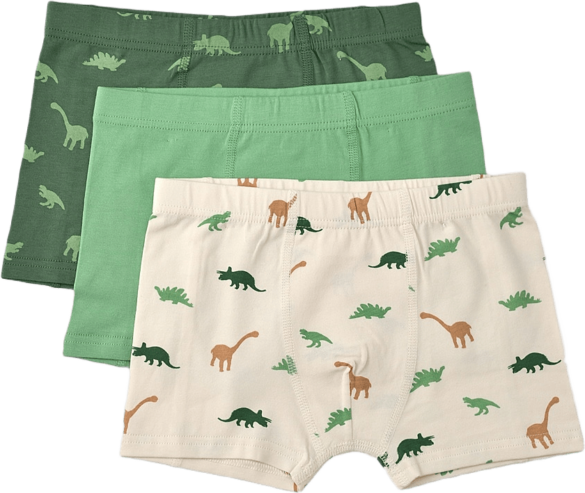 Boxershorts med tryck FREDDY, 3-pack, från Åhléns, i färgen Dino / Green.