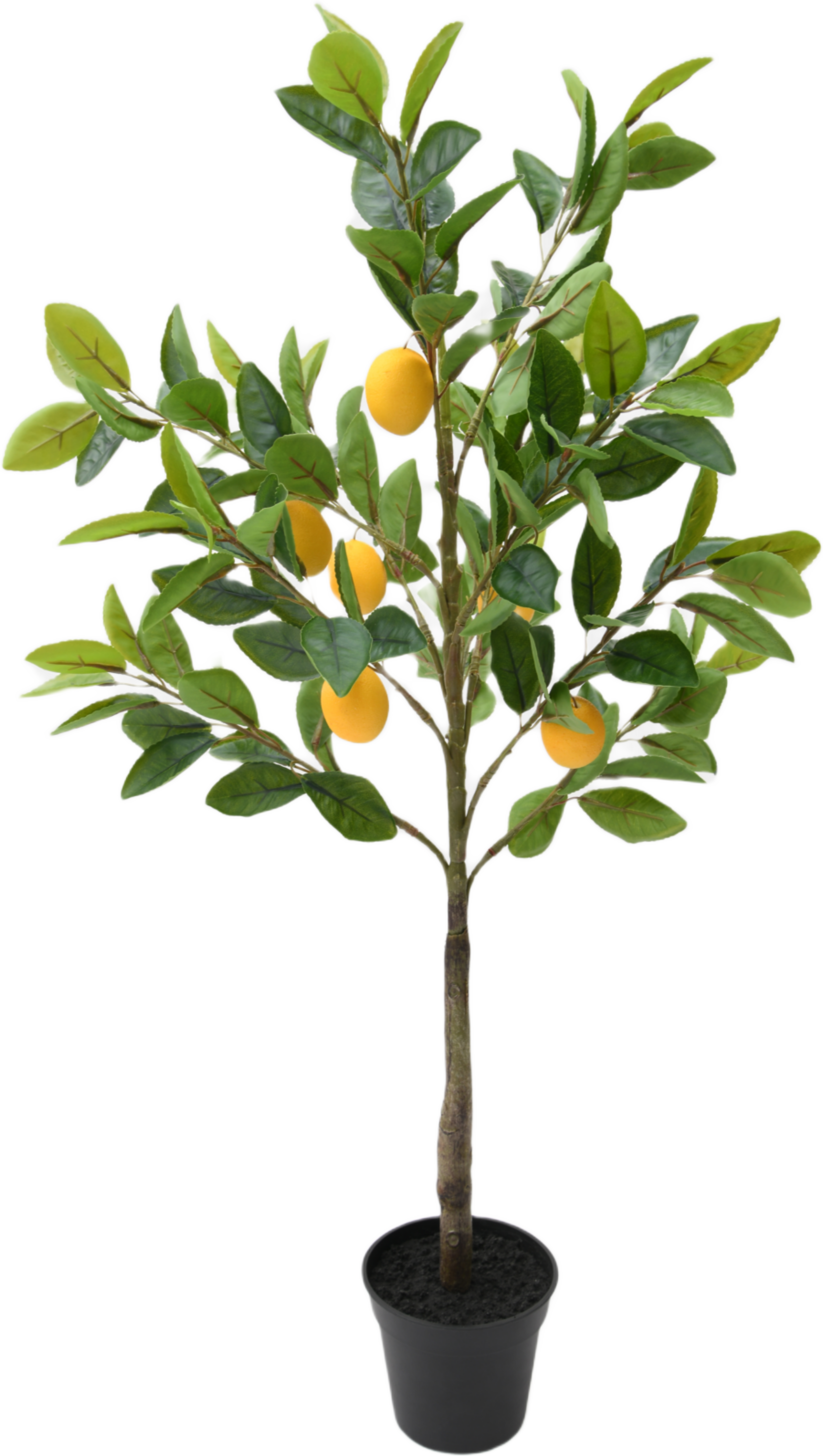Konstväxt citronträd i kruka, från Åhléns Home, i färgen Green.