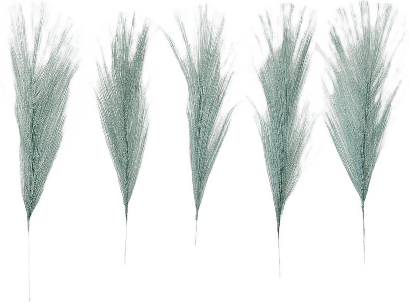 Påskfjädrar, 5-pack, från Åhléns Home, i färgen Green.