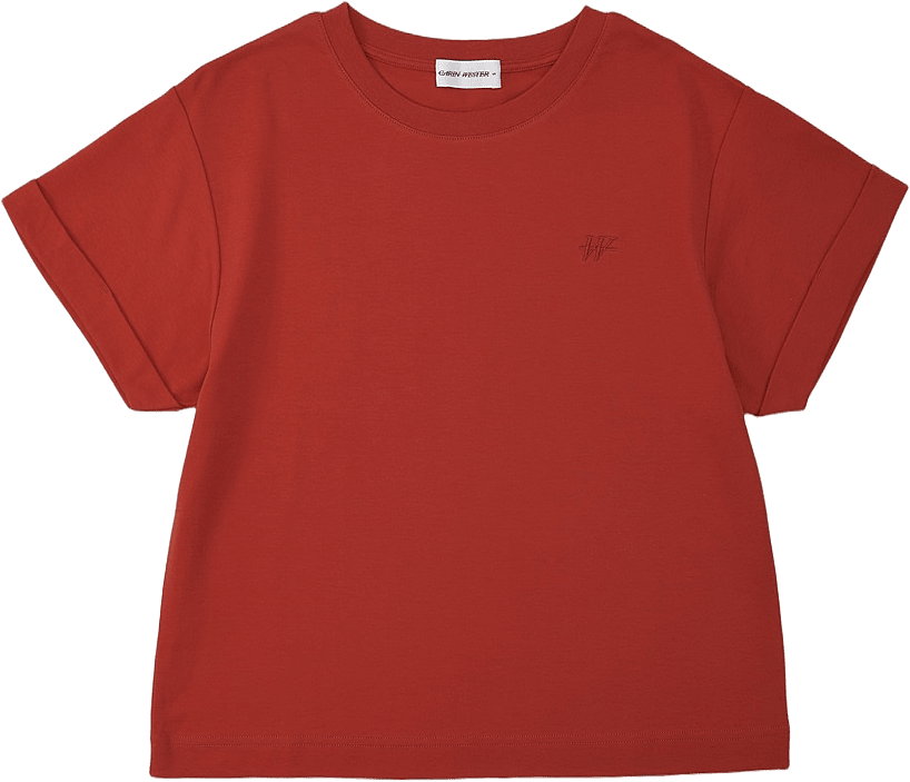 Boxig t-shirt STORM, från Carin Wester, i färgen Rust Red.
