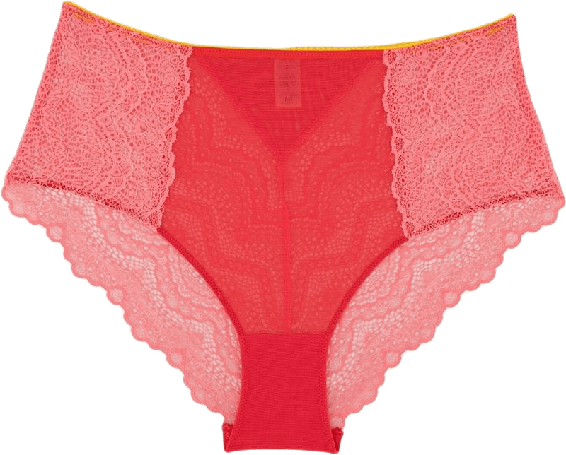 Lace Highwaist Briefs