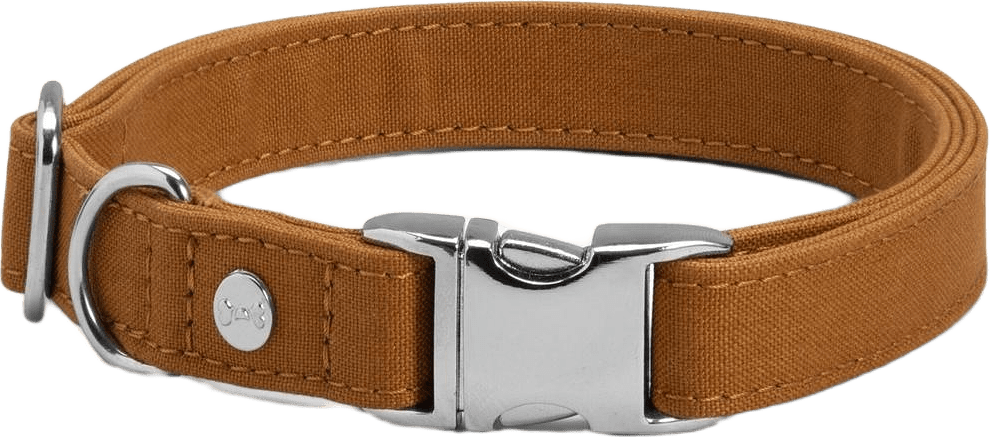 Hundhalsband Signature Go, från Denjo Dogs, i färgen mustard.