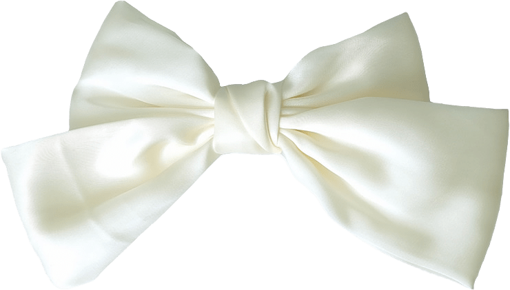 Nackspänne Shiny Rosett 14 Cm