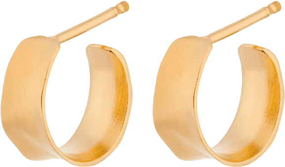 Mini Sage Earrings, från Pernille Corydon, i färgen Gold Plated.