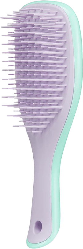 Wet Detangler Mini Pink Sherbet, från Tangle Teezer, i färgen Wisteria Leaf.