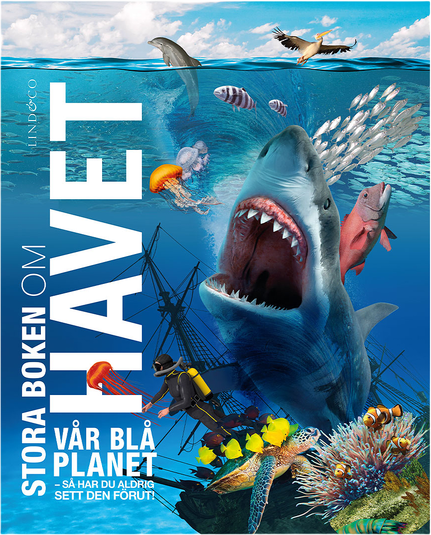Stora Boken Om Havet