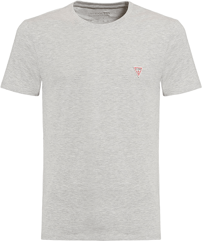 CN SS CORE T-shirt Short Sleeves, från Guess, i färgen Light Heather Grey M.