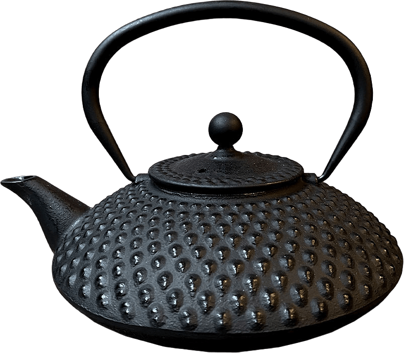 Tekanna Oval, 1,2 liter, från Satake, i färgen Black.