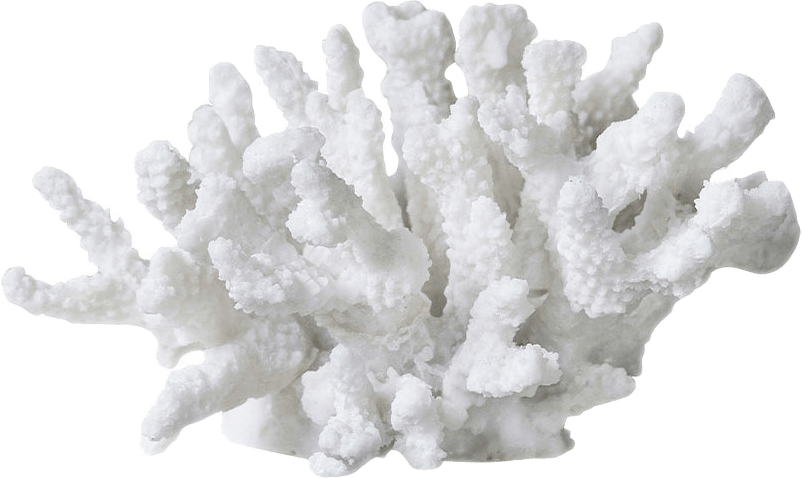 Korall, från Mette Ditmer, i färgen White.