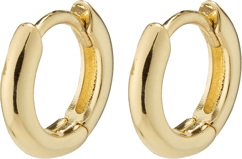 Tyra Earrings, från Pilgrim, i färgen Gold Plated.