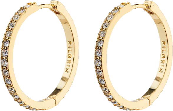 Ebna Earrings, från Pilgrim, i färgen Gold Plated.