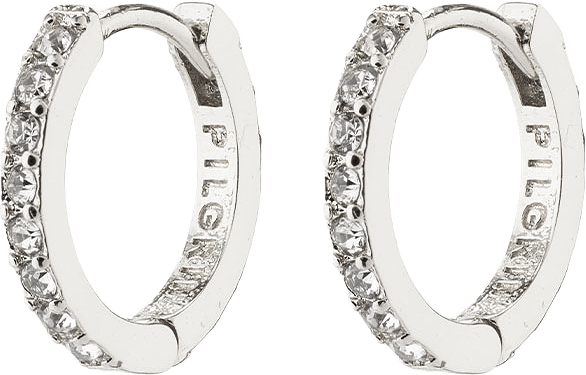 Ebna Earrings, från Pilgrim, i färgen Silver Plated.