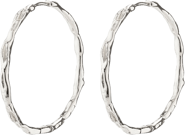 Eddy Earrings, från Pilgrim, i färgen Silver Plated.