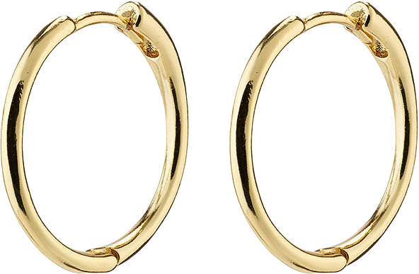 Eanna Earrings, från Pilgrim, i färgen Gold Plated.