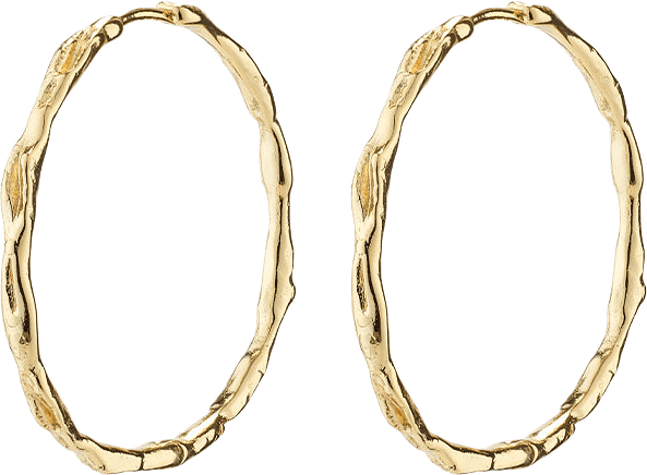 Eddy Earrings, från Pilgrim, i färgen Gold Plated.