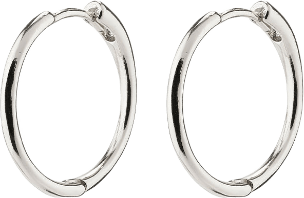 Eanna Earrings, från Pilgrim, i färgen Silver Plated.