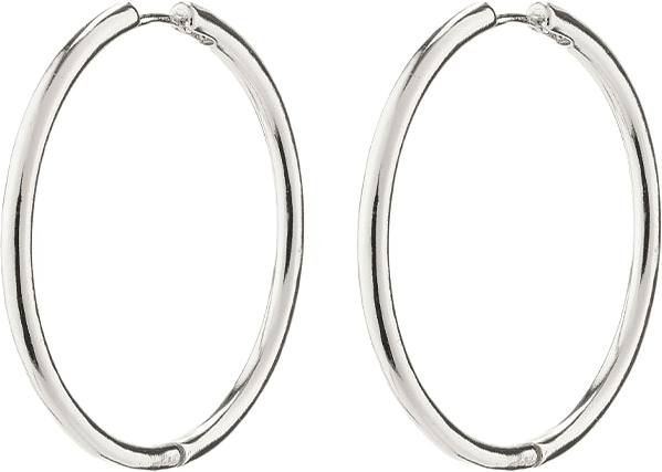 Eanna Earrings, från Pilgrim, i färgen Silver Plated.