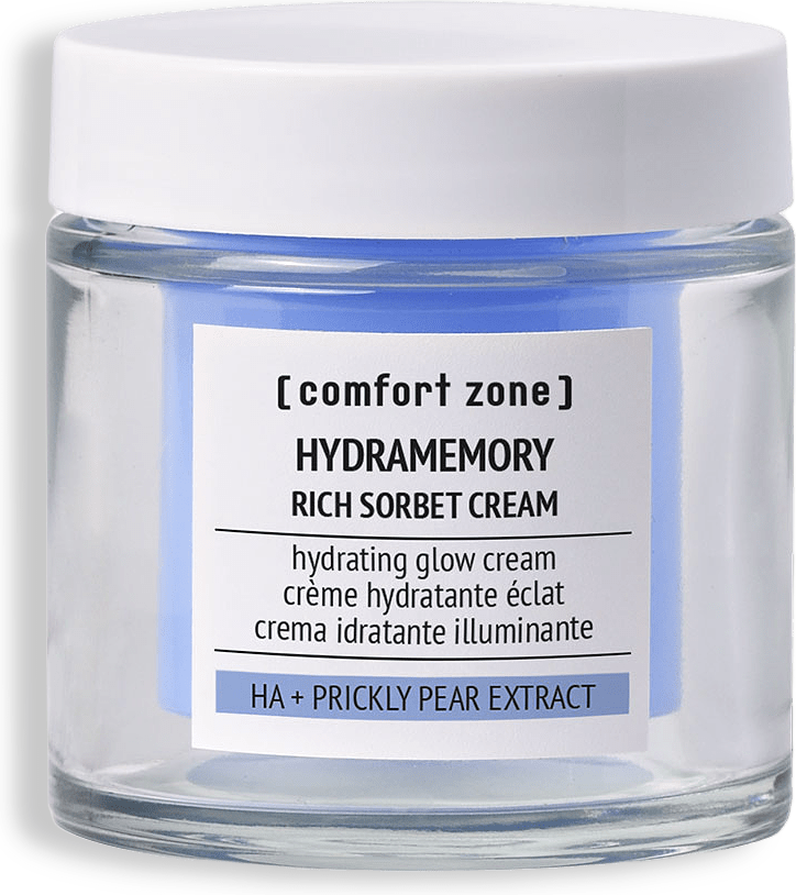 Hydramemory Rich Sorbet Cream