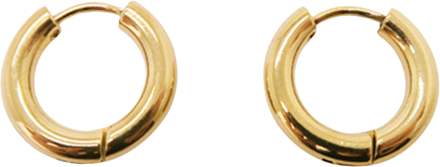 Thick hoops örhängen, från WOS, i färgen Gold.