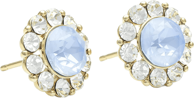 Miss Sofia Örhängen - Sky Blue, från Lily and Rose, i färgen Sky Blue.