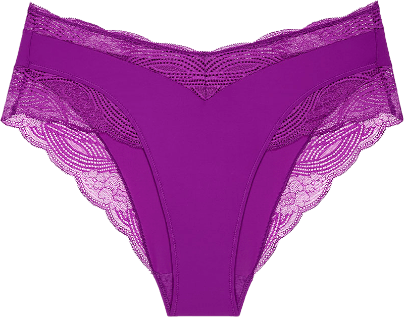Lift Smart Maxi Brief, från Triumph, i färgen Purple.