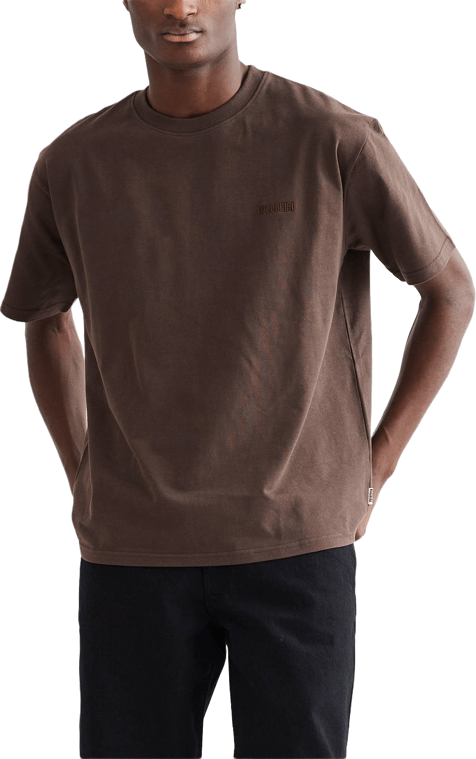 Baine Base tee, från Woodbird, i färgen Brown.