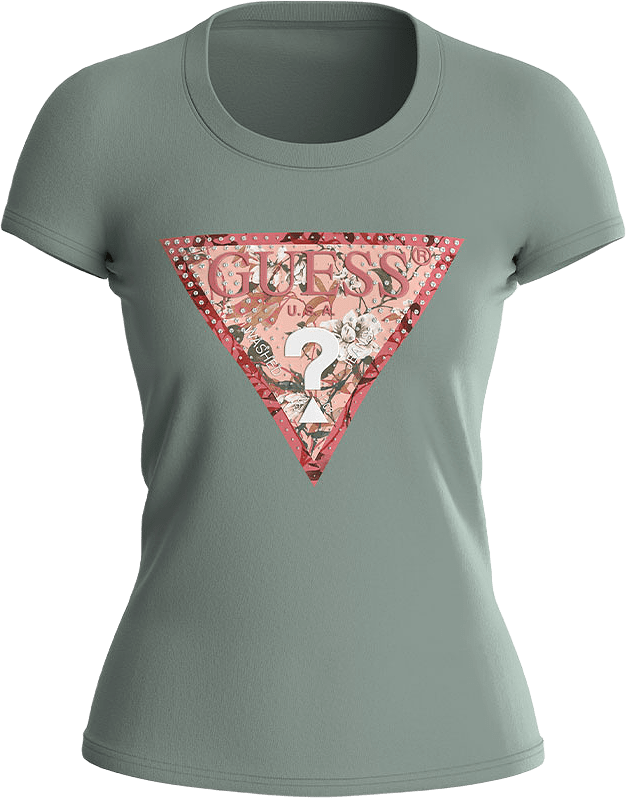 Ss Rn Satin Triangle T-shirt, från Guess, i färgen Malibu Sage.