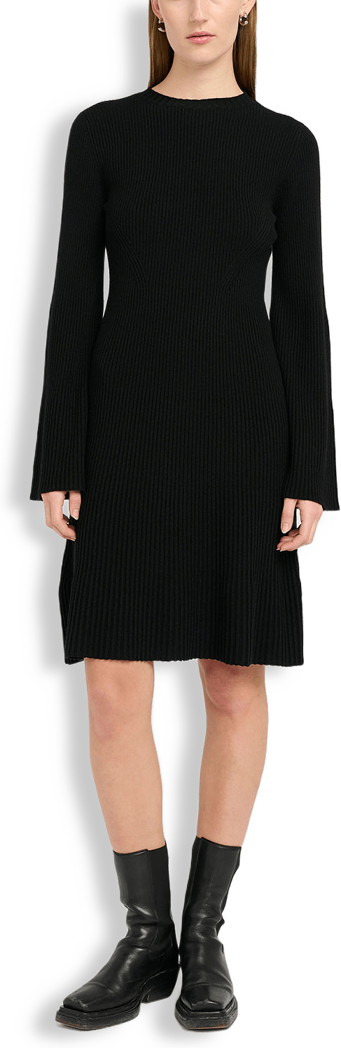 Antaligz Wool Short Dress