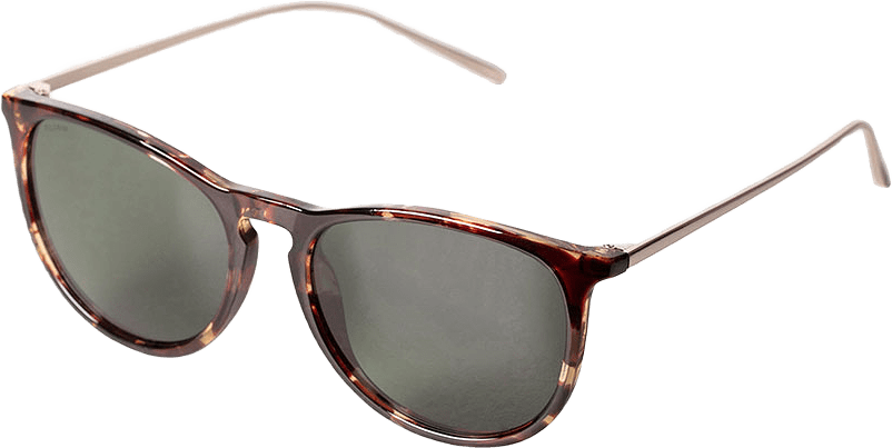 VANILLE Solglasögon, från Pilgrim, i färgen Tortoise Brown/Gold.