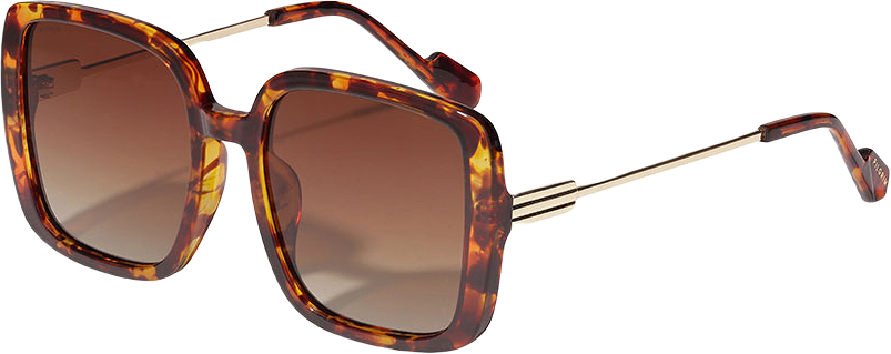 ALIET Solglasögon, från Pilgrim, i färgen Tortoise Brown/Gold.