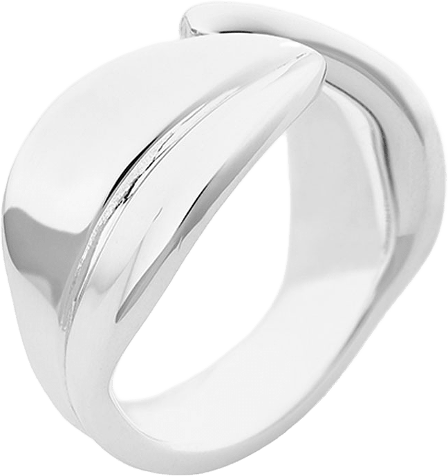 Botanica ring, från Drakenberg Sjölin, i färgen Silver.