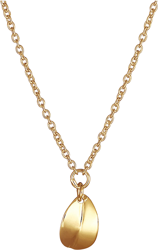 Botanica halsband med ett litet löv i guld, från Drakenberg Sjölin, i färgen Gold 18 K.