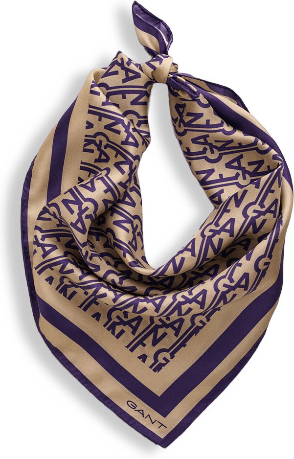 MONOGRAM PRINTED SILK SCARF