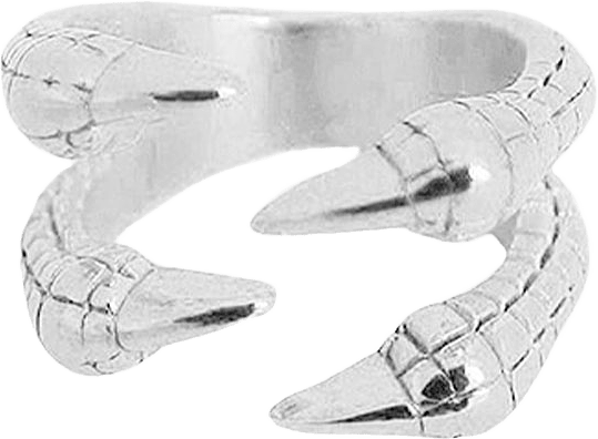 NASTA RING SILVER, från WOS, i färgen Silver.