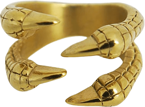 NASTA RING GOLD, från WOS, i färgen Gold.