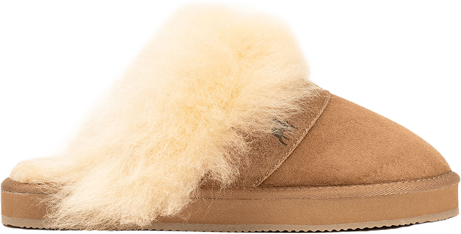 Shepherd Eve, från Shepherd, i färgen Chestnut.