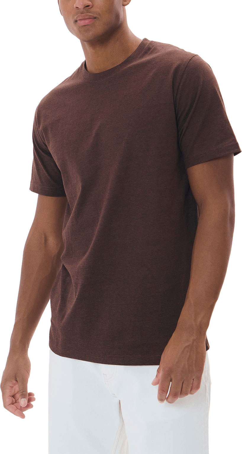 Jermane T-shirt, från Matinique, i färgen Nut.