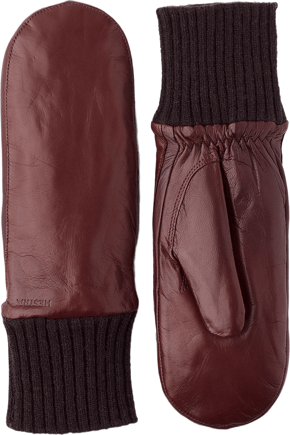 Tina, från Hestra, i färgen Chestnut.